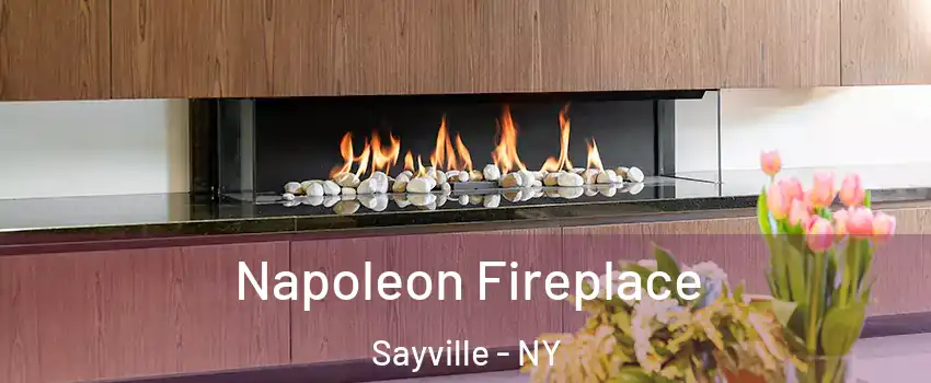  Napoleon Fireplace Sayville - NY